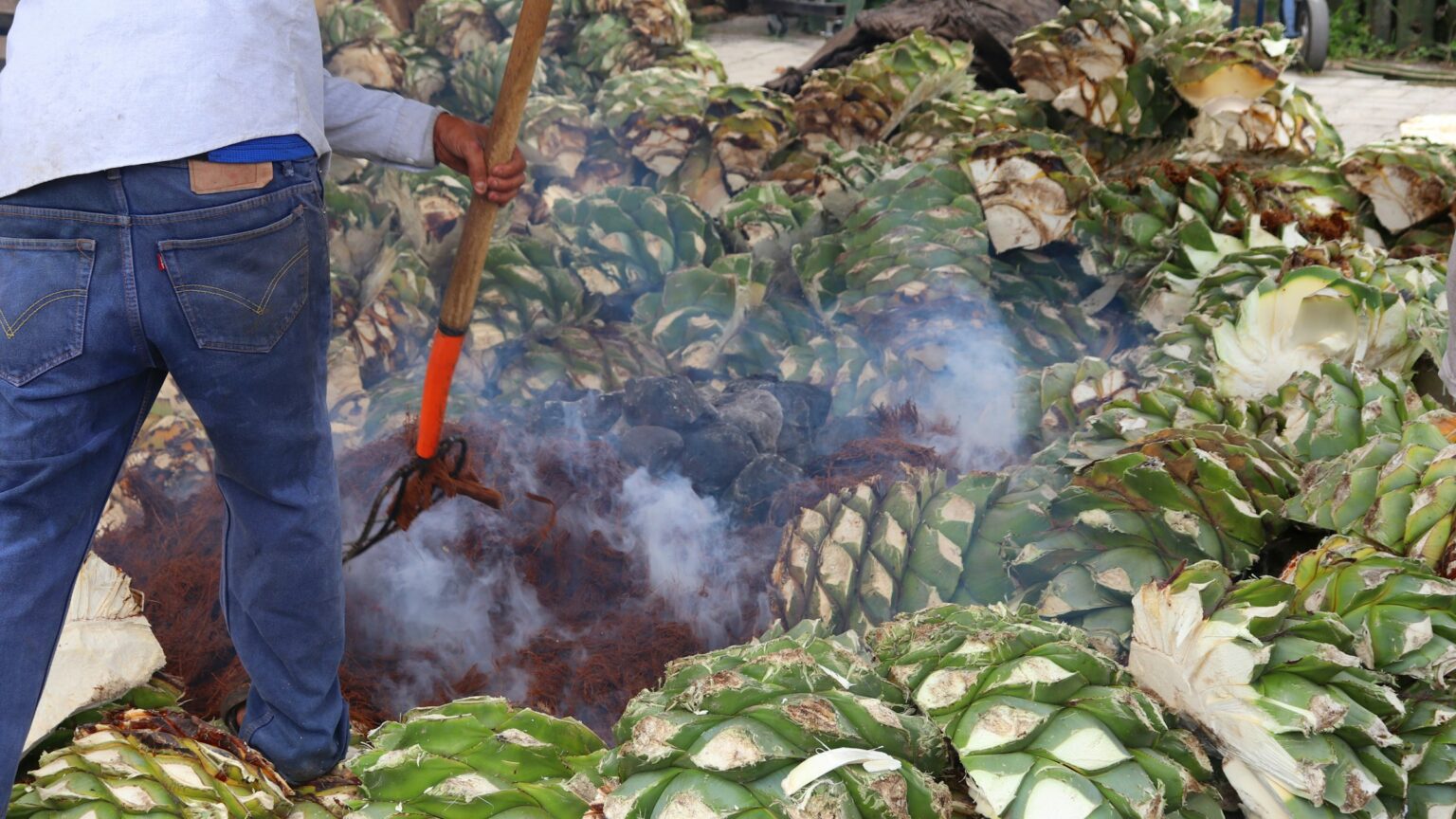 Smoke rising from agave hearts roasting in an earth oven at a mezcal palenque in Teotitlán del Valle, Oaxaca.